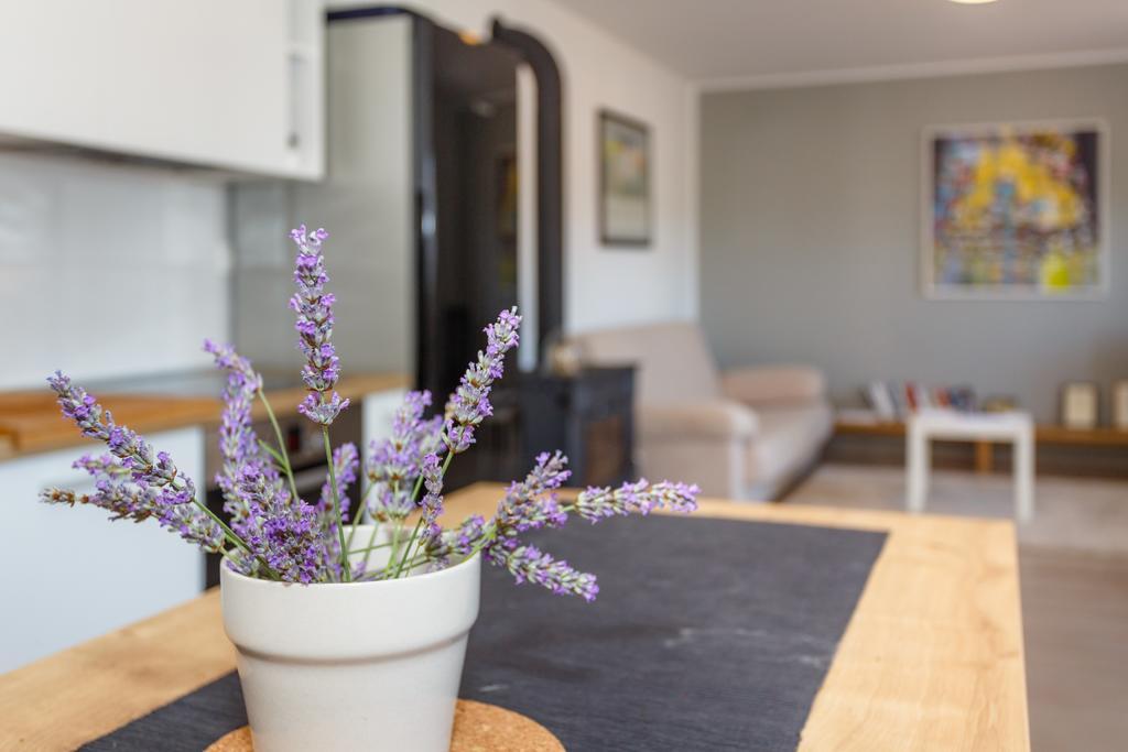 فربنيك Villa Mirela Apartment المظهر الخارجي الصورة